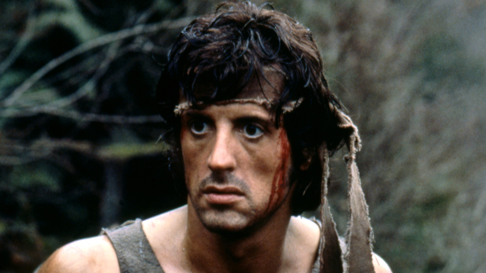 How Sylvester Stallone Really Felt About Rambo Becoming A Childrens Cartoon