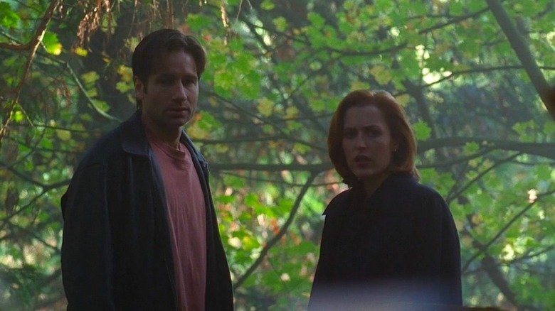 David Duchovny as Mulder in t-shirt standing next to Gillian Anderson as Scully in forest in The X-Files