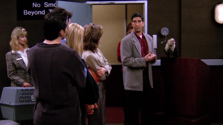 David Schwimmer as Ross, saying goodbye to Marcel with his friends at the airport on Friends