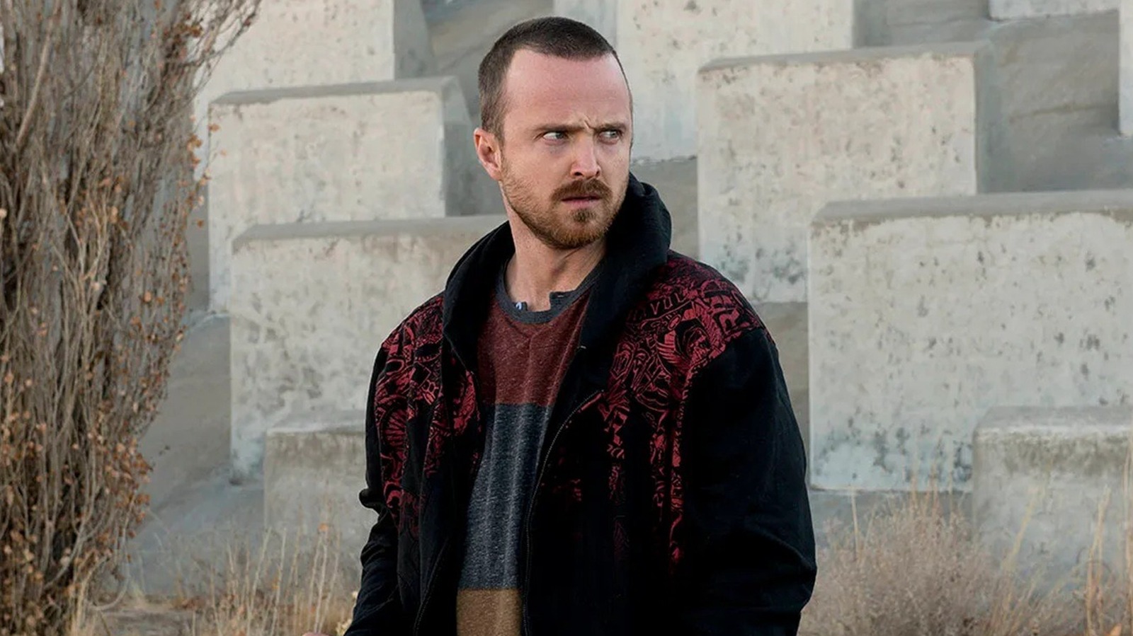 The Gossip Girl Star Who Almost Played Breaking Bads Jesse Pinkman