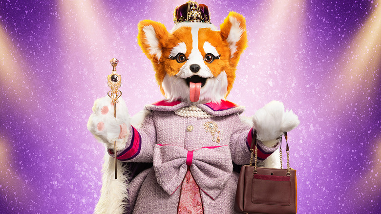 Queen Corgi competes in Season 14 of The Masked Singer on Fox