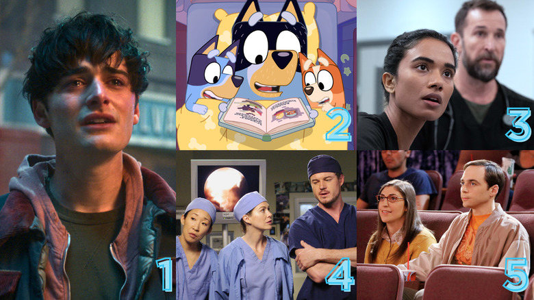 Grey's Anatomy, The Big Bang Theory, Bluey, The Pitt, Stranger Things