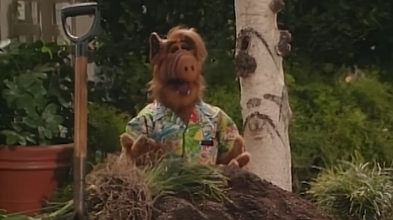ALF makes a backyard lagoon in "Somewhere Over the Rerun"