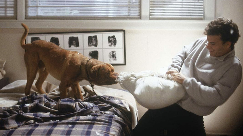 Turner and Hooch playing tug-of-war with a pillow