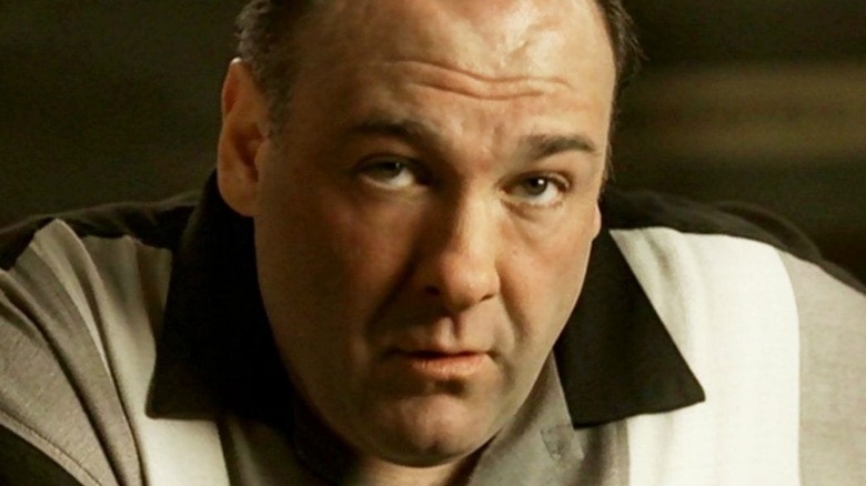 James Gandolfini as Tony Soprano looks at the camera in The Sopranos
