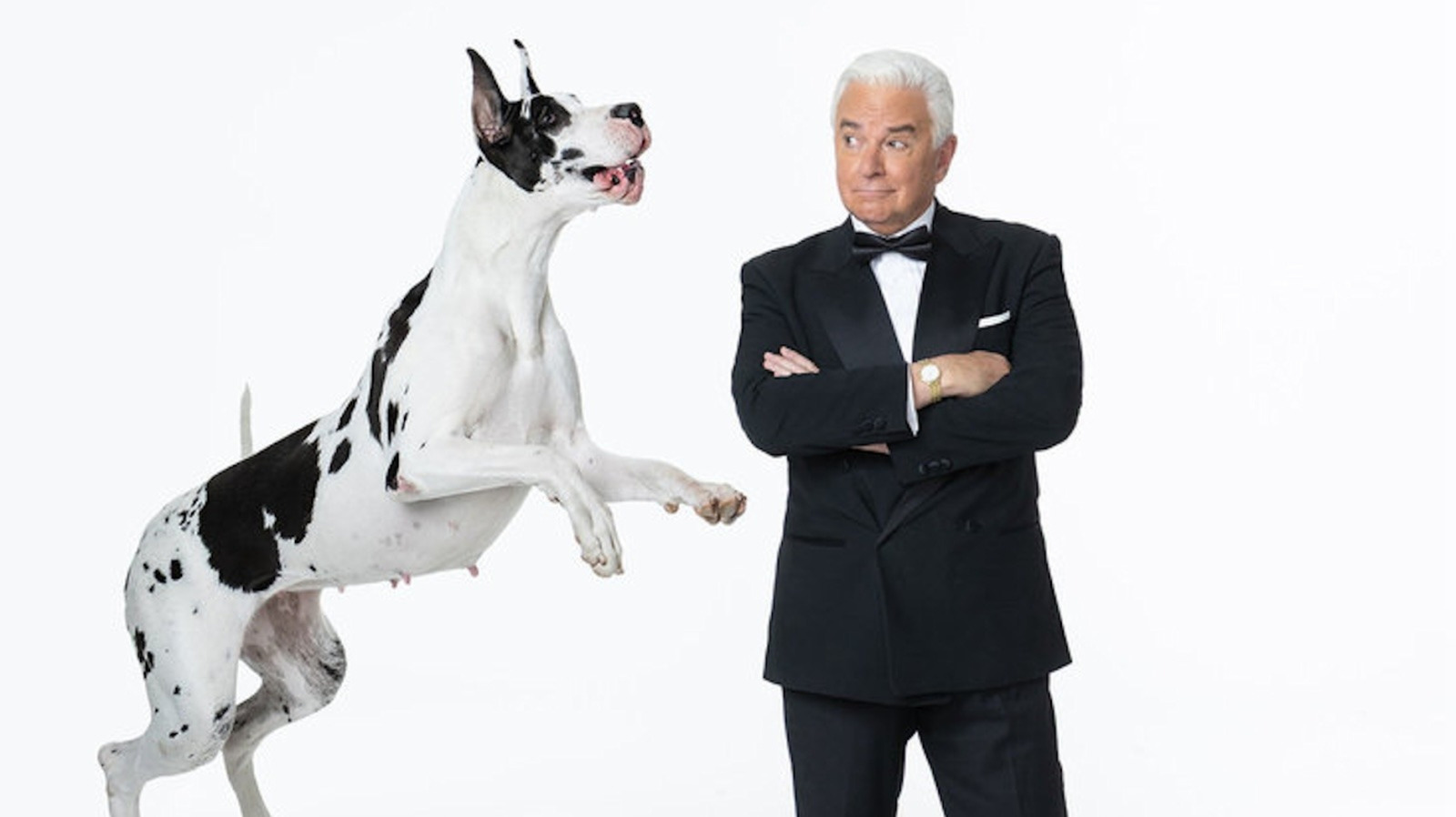 What To Watch Thursday: Thanksgiving Parade, Football, National Dog Show And More