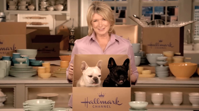 Martha Stewart holding two French bulldogs in a Hallmark Channel box on her kitchen set