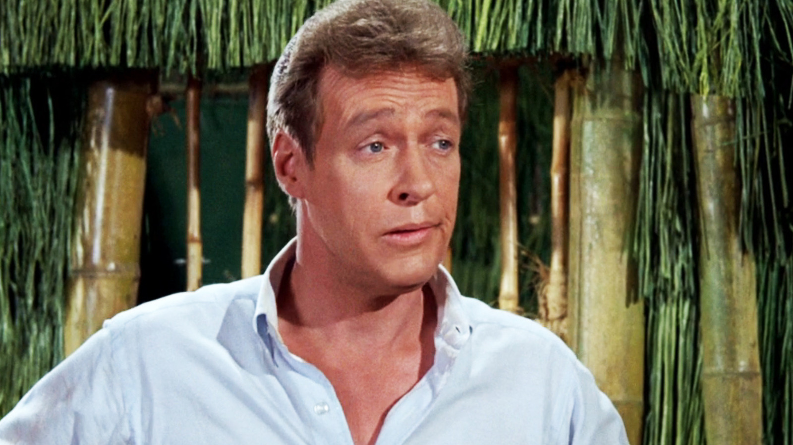 Why Russell Johnson Wasnt Happy With His Gilligans Island Fame