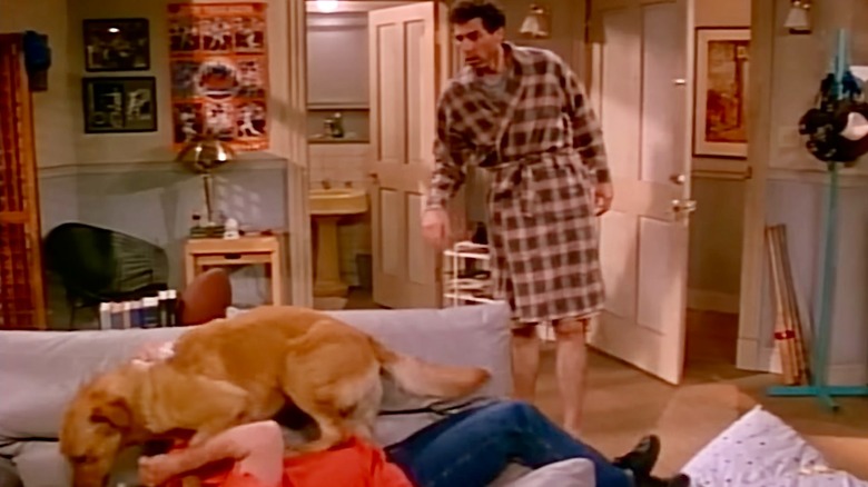 Kramer watching his dog tackle George onto Jerry's couch