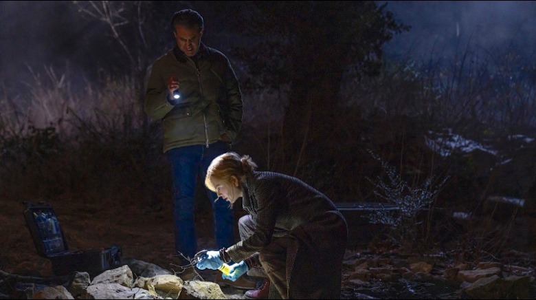 Scarpetta Nicole Kidman Bobby Cannavale