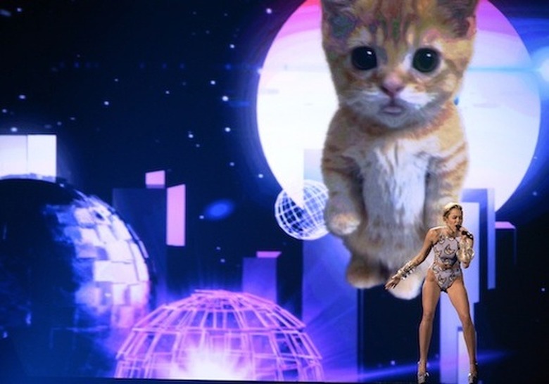 AMAs Miley Cyrus Cat