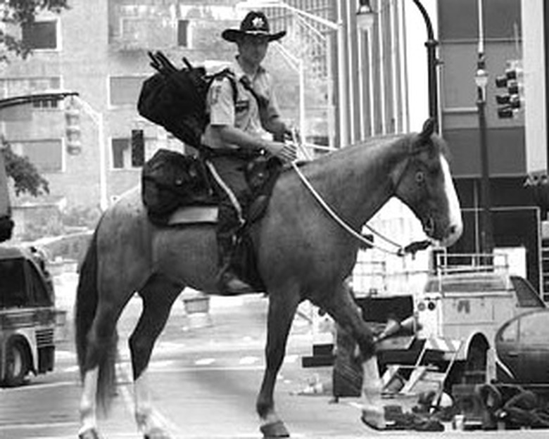 TWD_pilot_BW