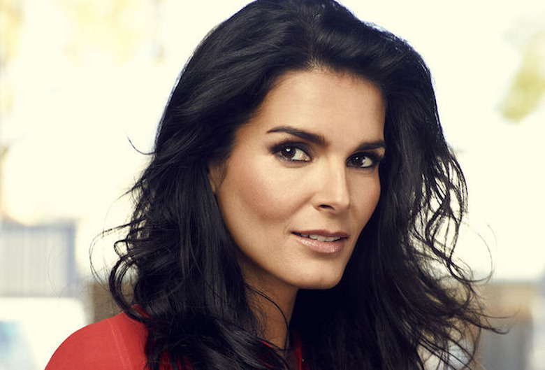 Angie Harmon Lifetime