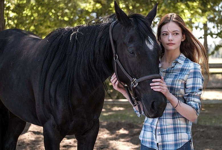 Black Beauty Disney+