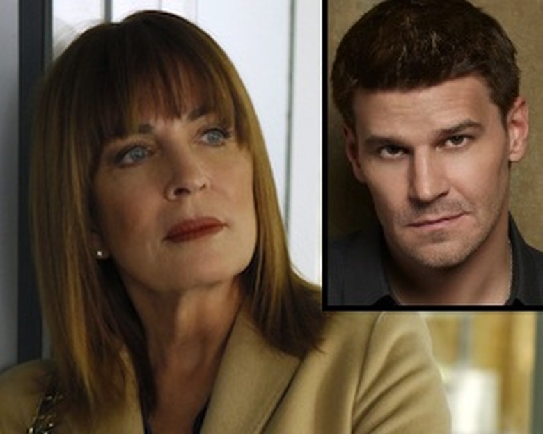Bones Season 8 Spoilers