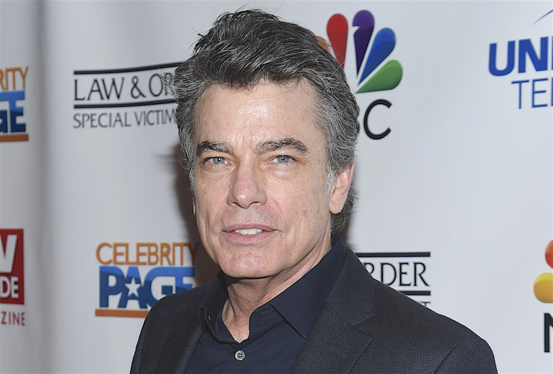 Grey's Anatomy Peter Gallagher