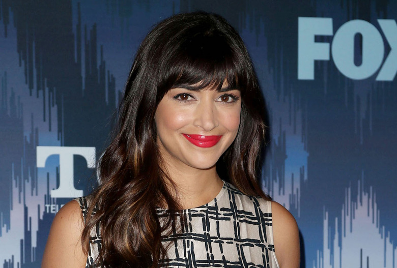 Hannah Simone The Greatest American Hero