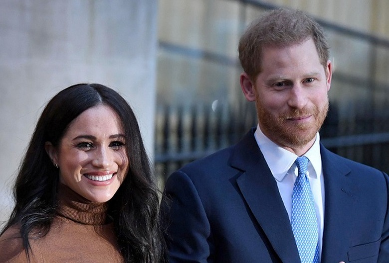 Prince Harry Meghan Markle Special Fox