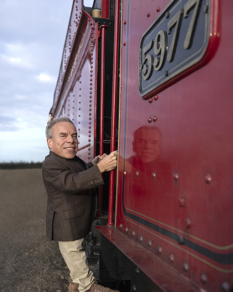 harry potter tv show warwick davis