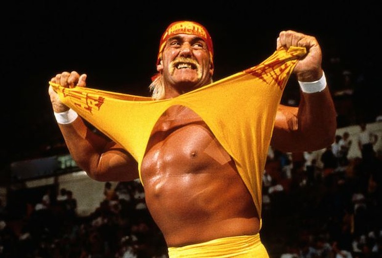 Hulk Hogan Fired WWE