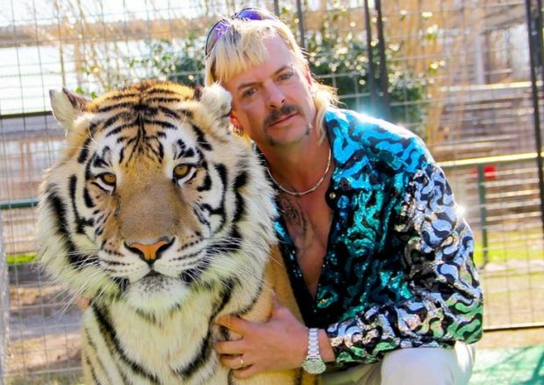 Joe Exotic Casting
