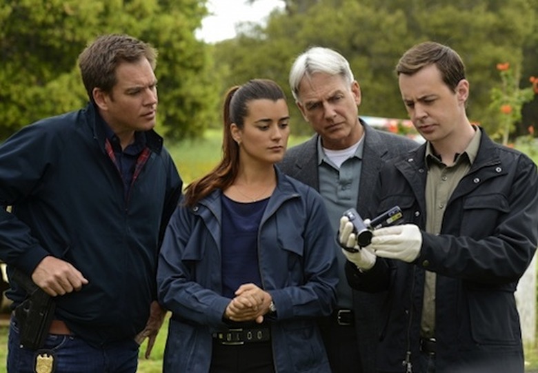 ncis dw