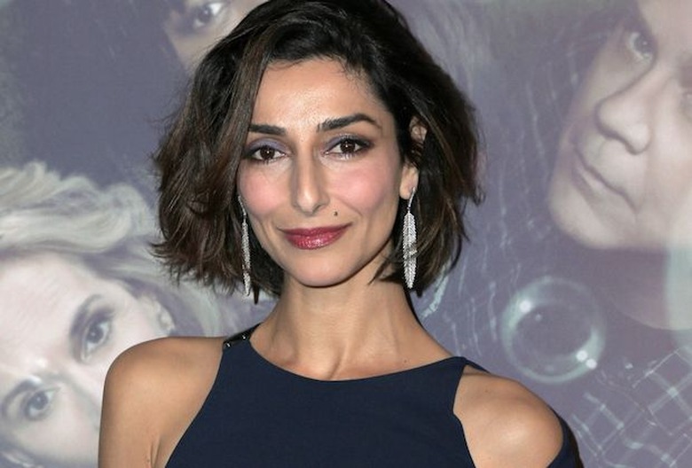 NCIS Necar Zadegan