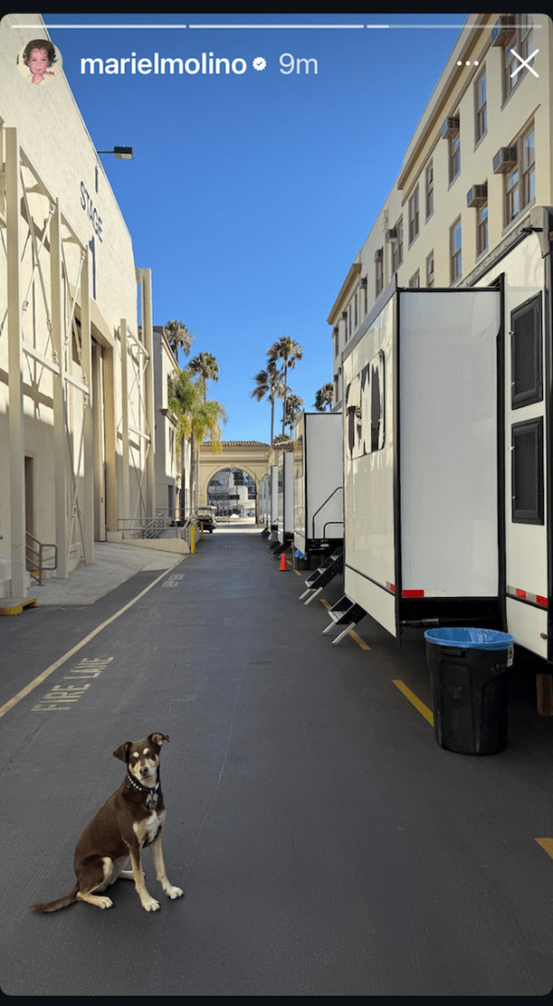 ncis origins lala alive dead