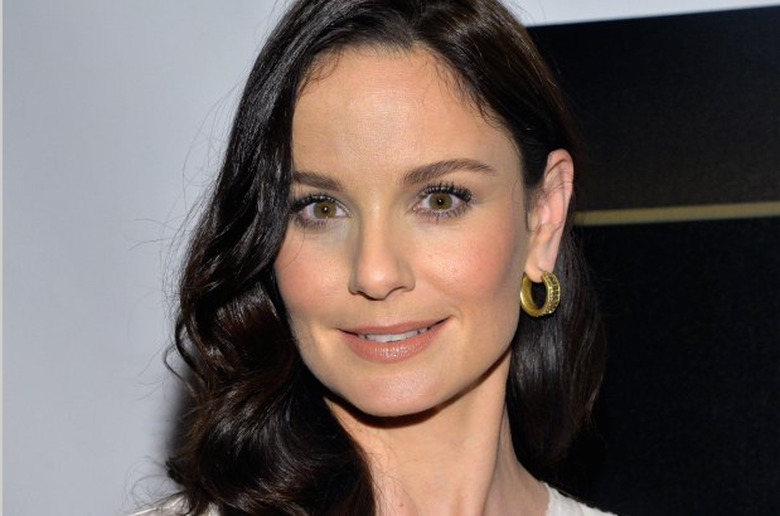 Sarah Wayne Callies Returns to Prison Break