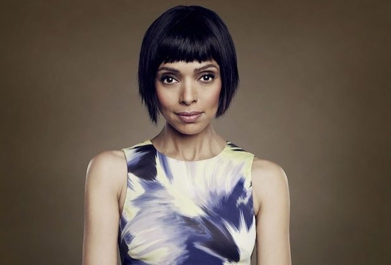 Tamara Taylor Law & Order