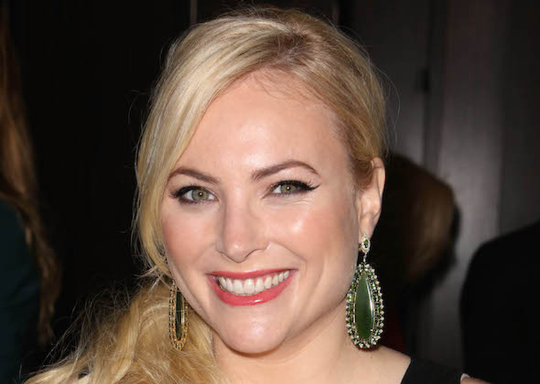 The VIew Megan McCain Host ABC