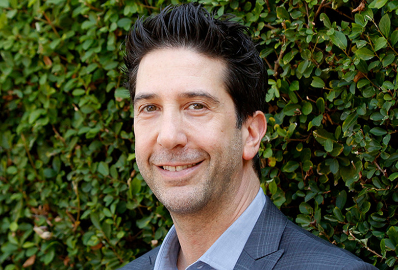 David Schwimmer