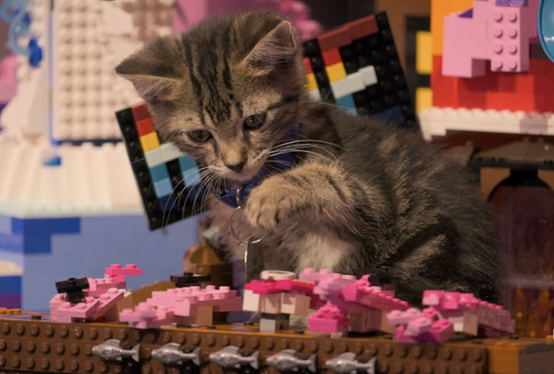 lego-masters-kittens