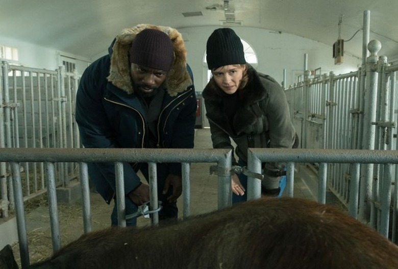 How to Slaughter a Pig