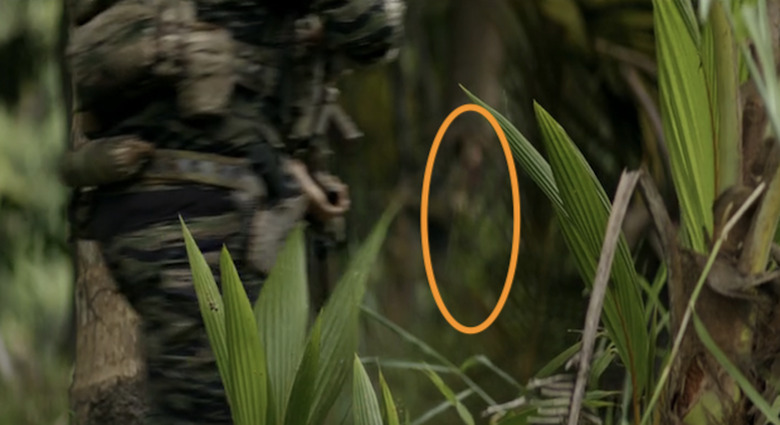 tvq-seal-team-jungle