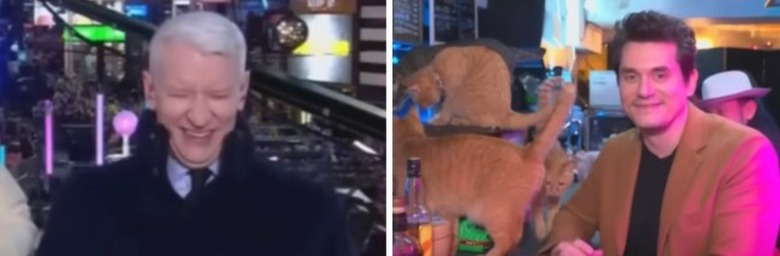 cnn-nye-anderson-cooper-john-mayer-cat-bar