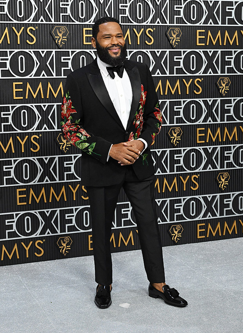 Emmys Red Carpet Photos