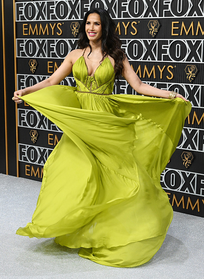 Emmys Red Carpet Photos