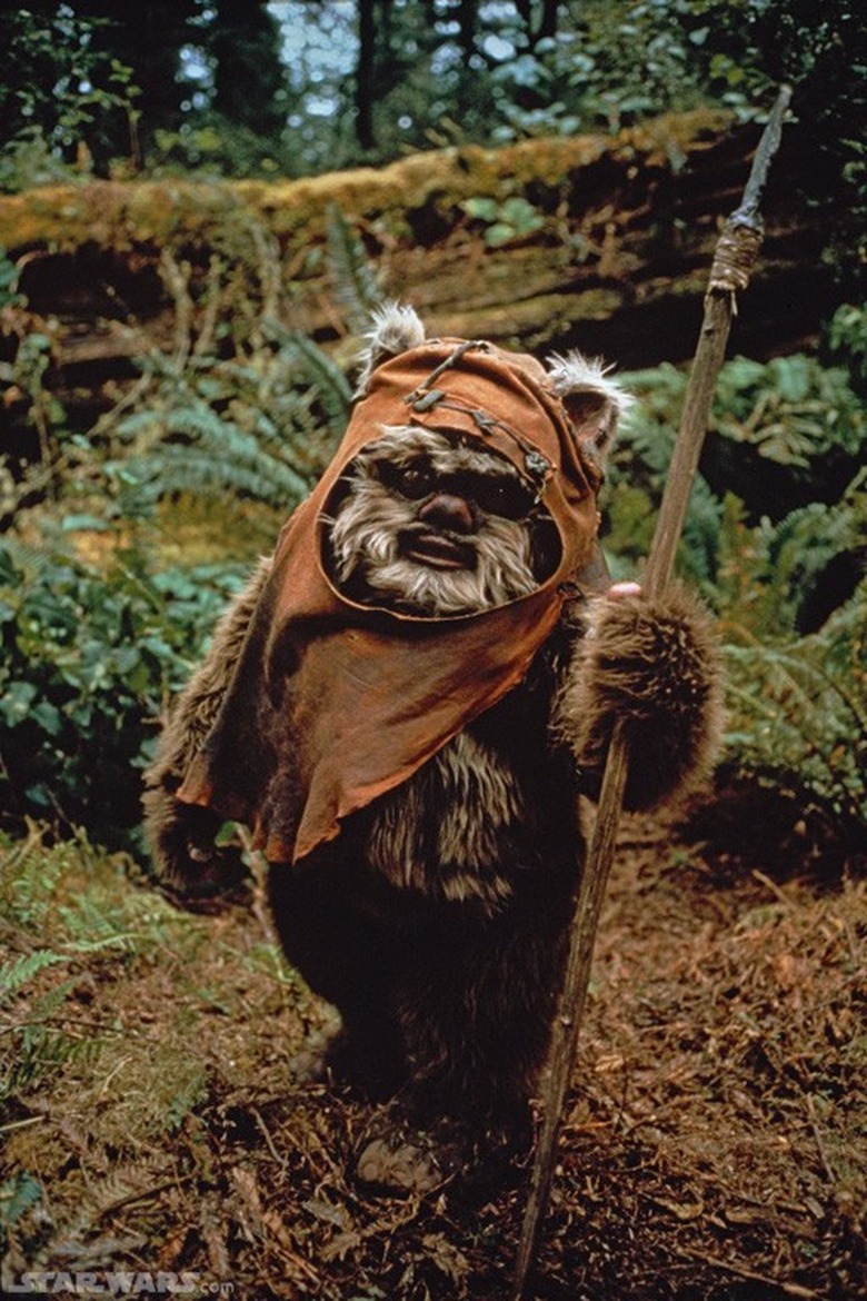 starwars_ewok