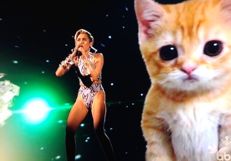 18-AMAs-Best-Worst-Miley-Cyrus-Cat