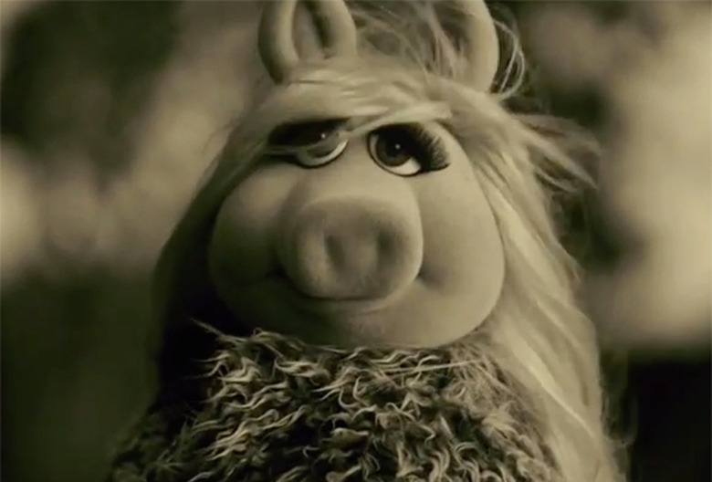 American Music Awards 2015