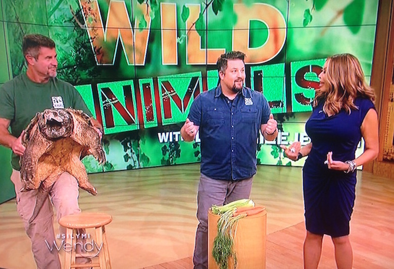 wendy-williams-turtle-quote