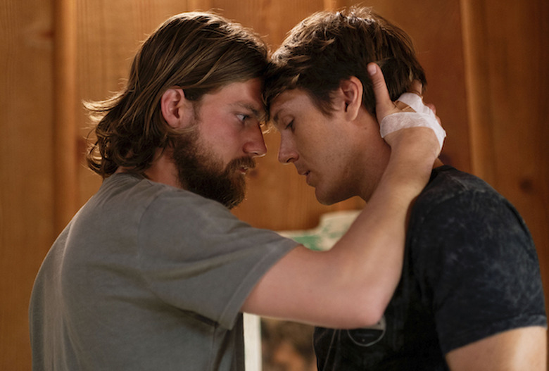 Animal Kingdom - 413 618500