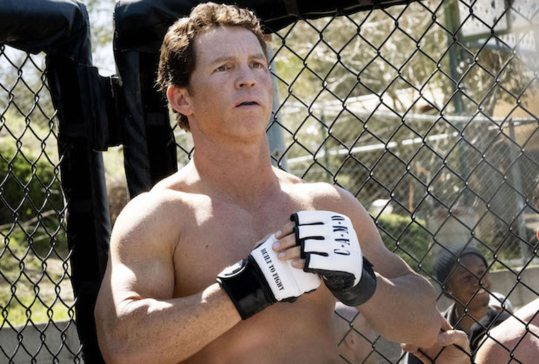 animal kingdom season 4 photos