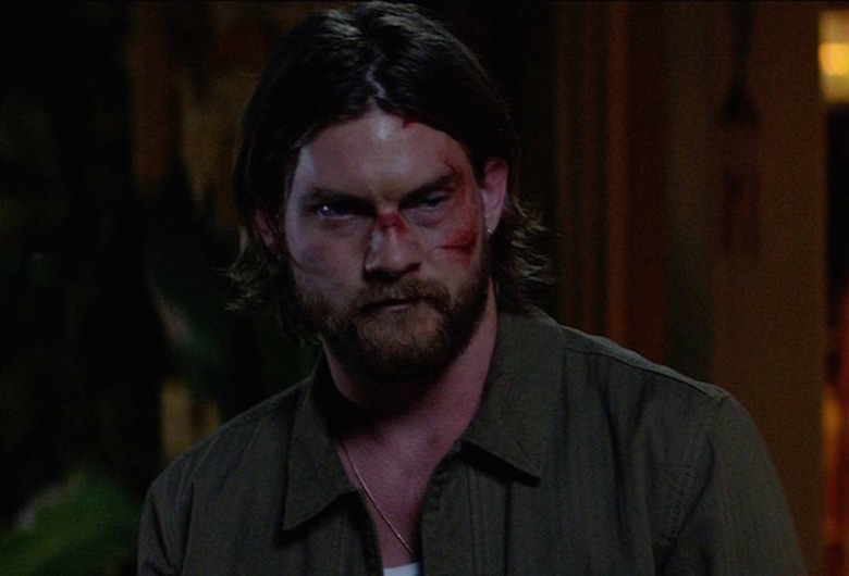 animal kingdom season 4 photos