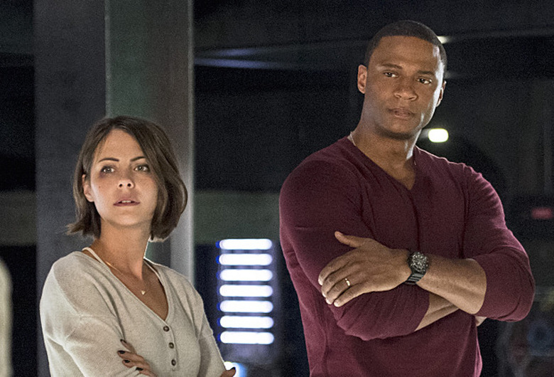 Arrow Laurel Dies