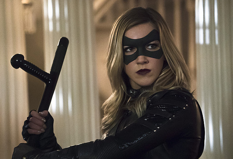 Arrow Laurel Dies