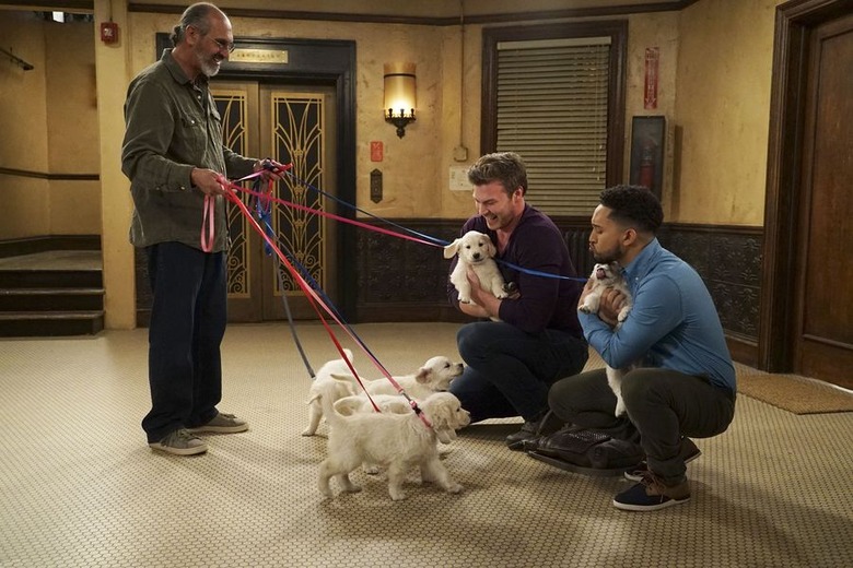 Baby Daddy Series Finale Spoilers