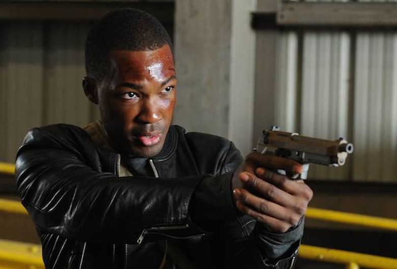 24-legacy-best-winter-shows
