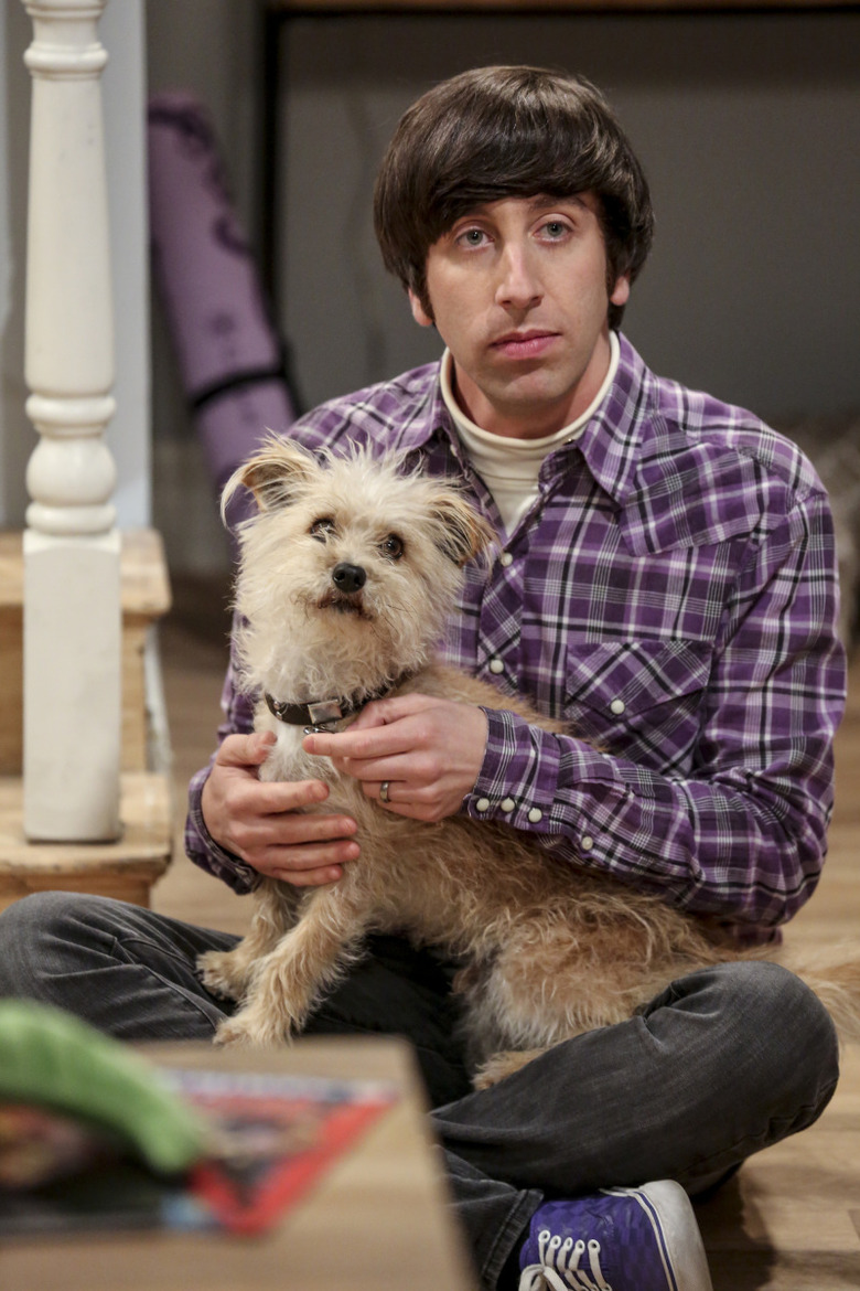 The Big Bang Theory Sheldon Amy Wedding